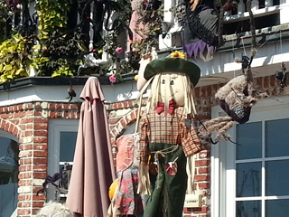 فى أمريكــا أنـت لاتشعر بالغربة!