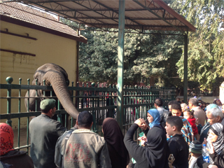 من جوهرة التاج لحديقة عفا عليها الزمان