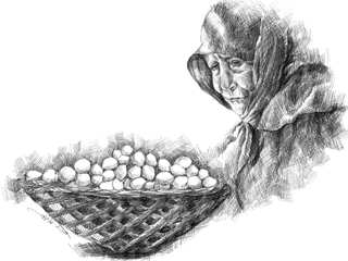 أمى التى لا أعرفها