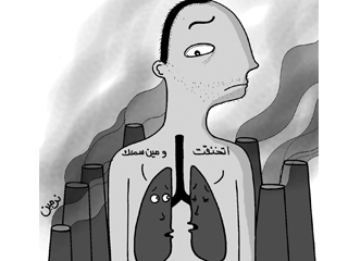 حرق الفحم يتسبب فى خروج 70 عنصراً ضارا بالصحـة
