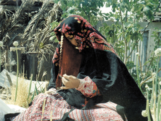 شمس البوادي