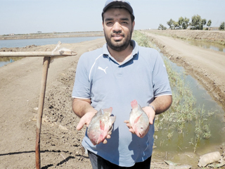 دراسة: المصايد البحرية ضعيفة