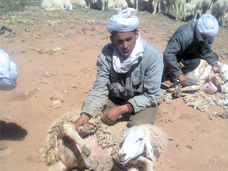 الحوايا.. صناعة بدوية مهددة بالانقراض
