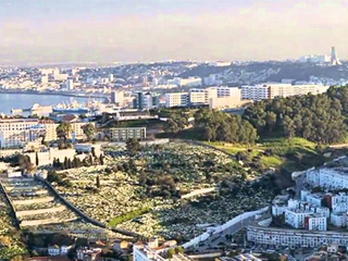 هل ننجح..؟! وفد شعبى مصرى لزيارة سوريا