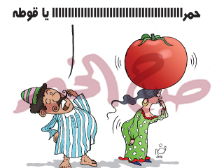 أكثر شعوب العالم استهلاكا لها احنا اللى جننا القوطة!!