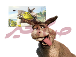 أفلام شريك: الغول الفارس وحماره!