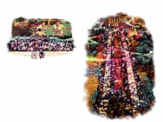 إفطار الجامعة «صور ومحشى وأغانى»