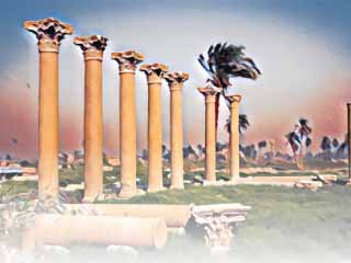 تونا الجبل