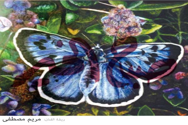 حكمة الفراشة وجناحيها مع الشرنقة
