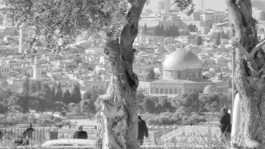 عودة الهدوء إلي الأراضي الفلسطينية