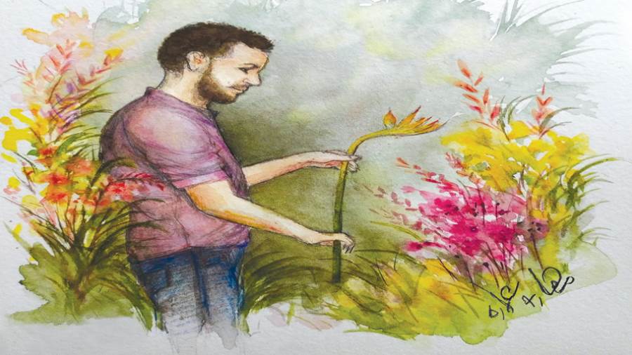 ريشة: مها أبوعمارة