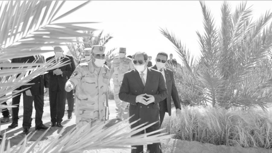 الرئيس يفتتح موسم حصاد القمح بتوشكى