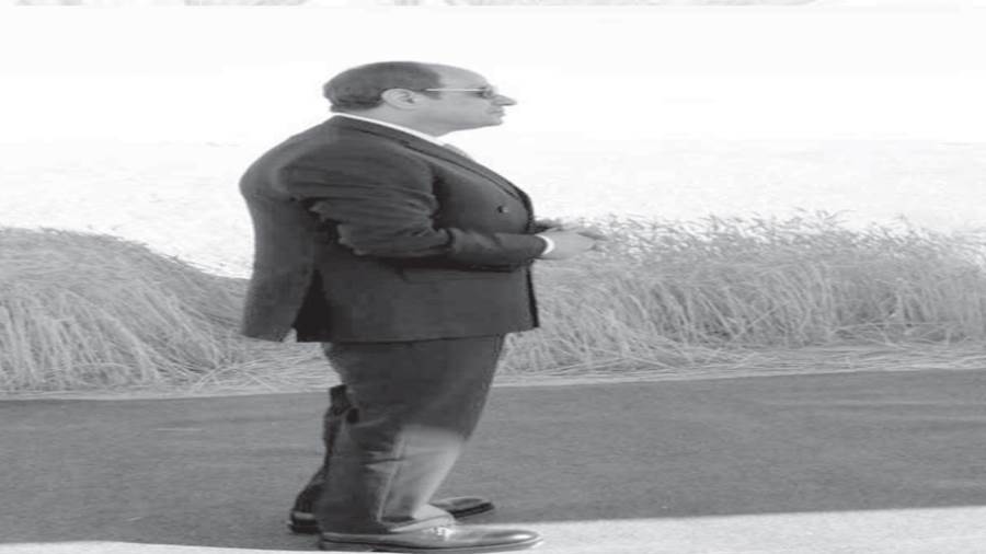 الرئيس يطلق إشارة حصاد الذهب الأصفر من توشكى