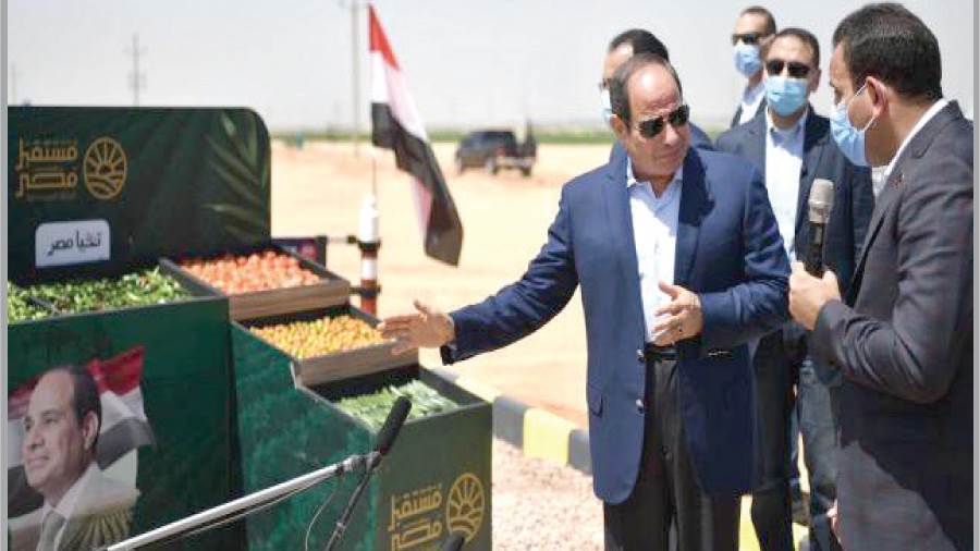 الزراعة ركيزة مهمة للأمن القومى وتسهم بـ 15 % من الناتج المحلى