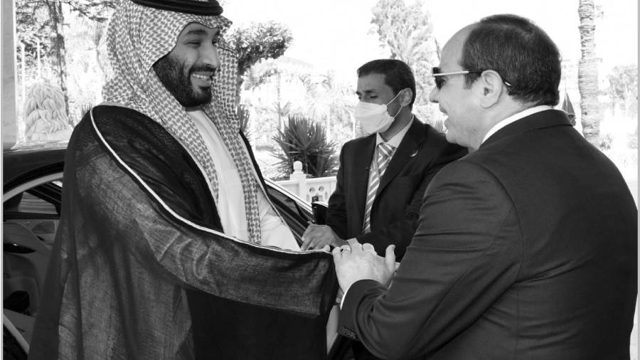 استقبال حافل بين الأشقاء