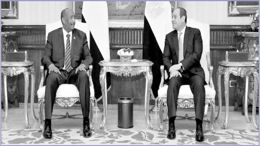 تشاور مستمر بين البلدين الشقيقين