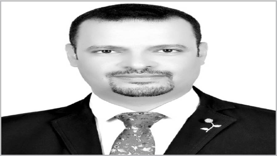 أ.د. أحمد محيى حمزة