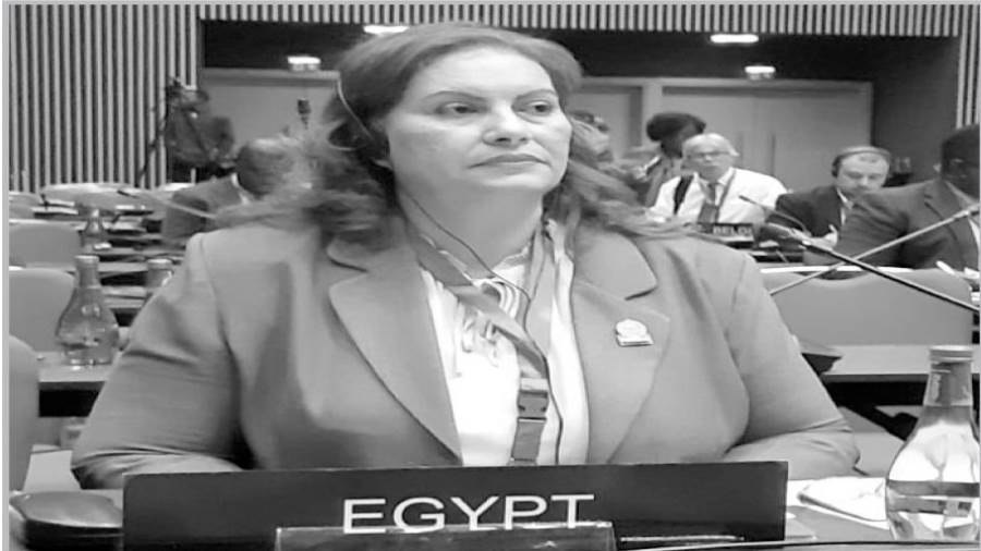 عايدة نصيف تلقى كلمة البرلمان المصرى