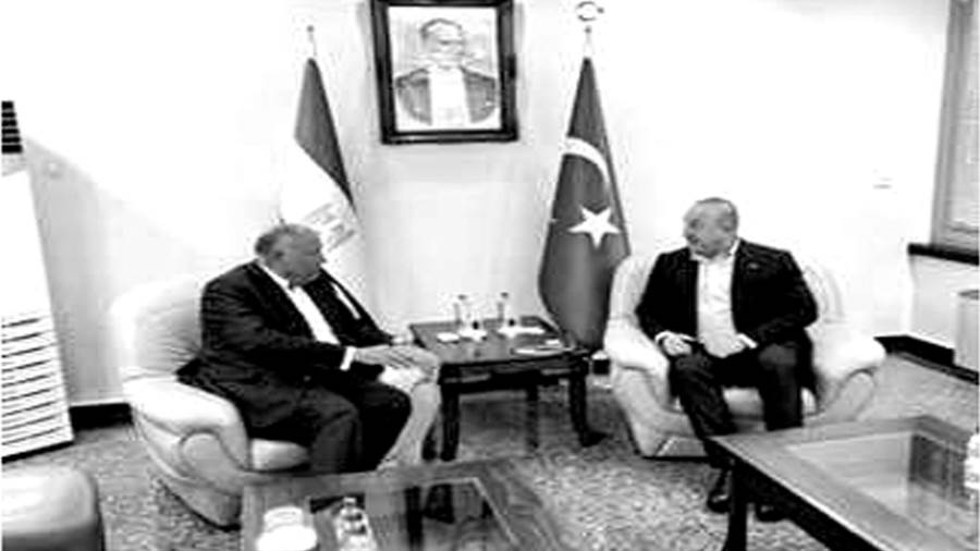 تضامن مصر مع تركيا فى أزمتها