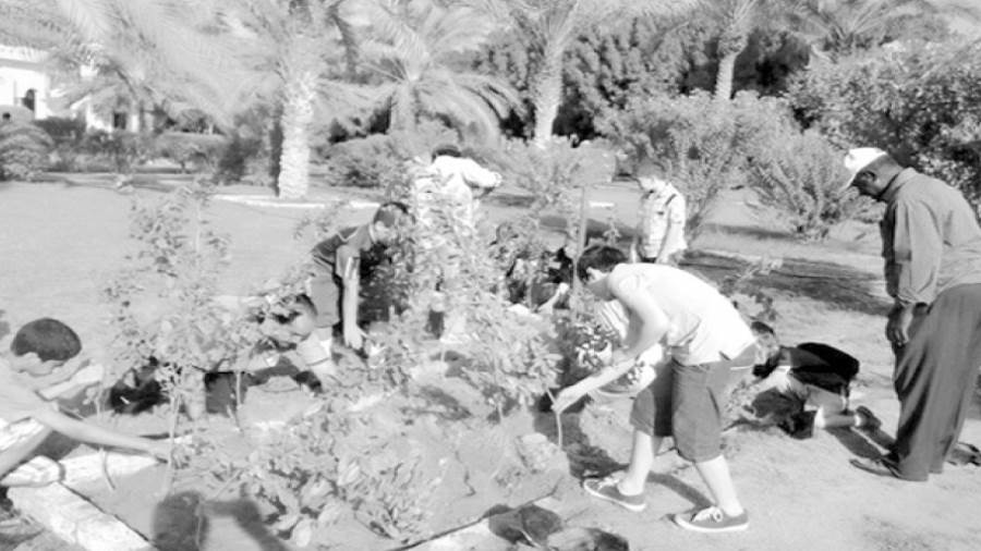 مبادرات متعددة للاهتمام بالبيئة