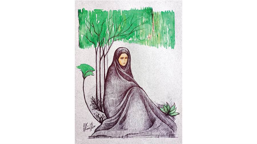 ريشة: سماح الشامى