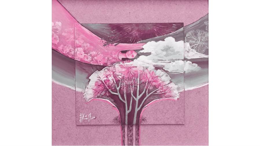 ريشة: سماح الشامى