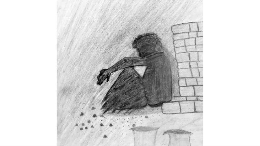 ريشة: زهرة كامل
