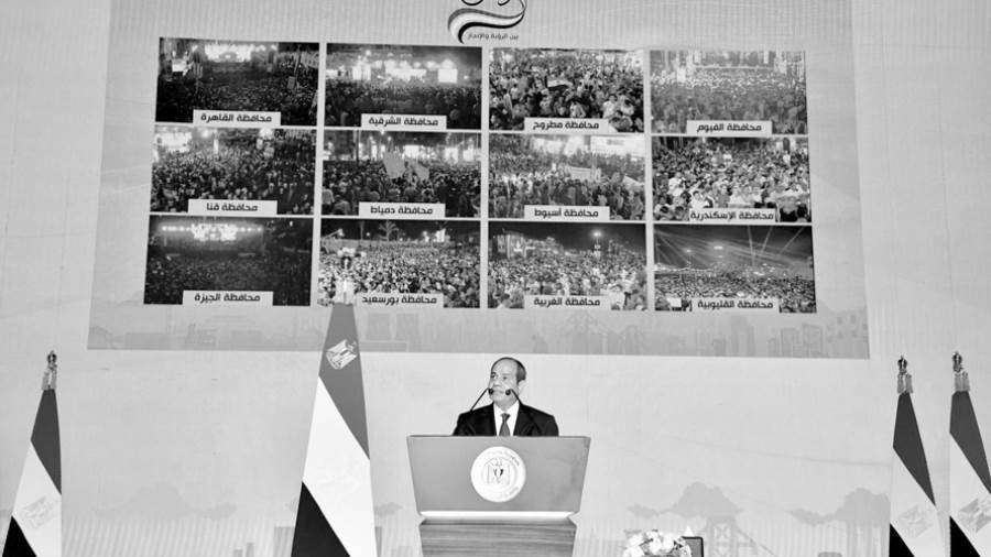 ملايين المصريين ناشدوا الرئيس الترشح لولاية جديدة