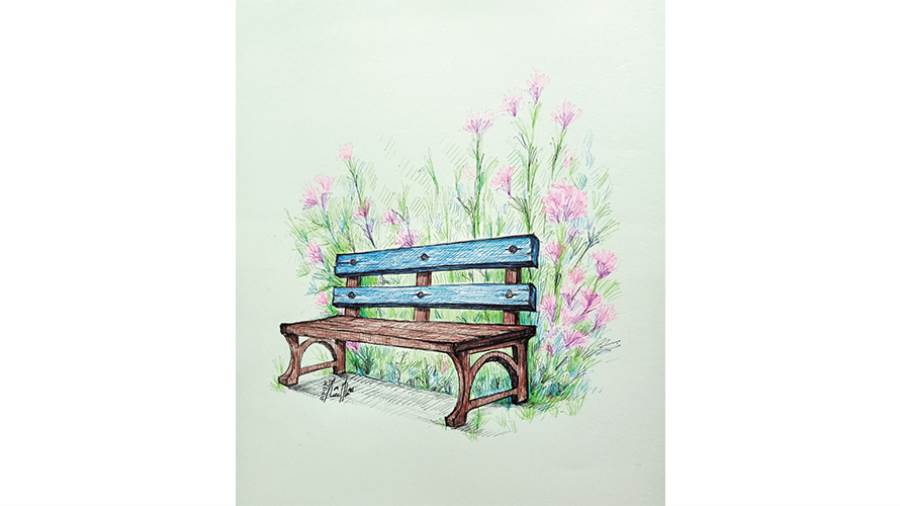 ريشة: سماح الشامى