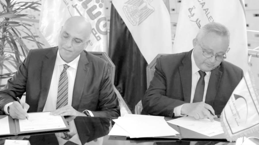 نشر ثقافة ريادة الأعمال