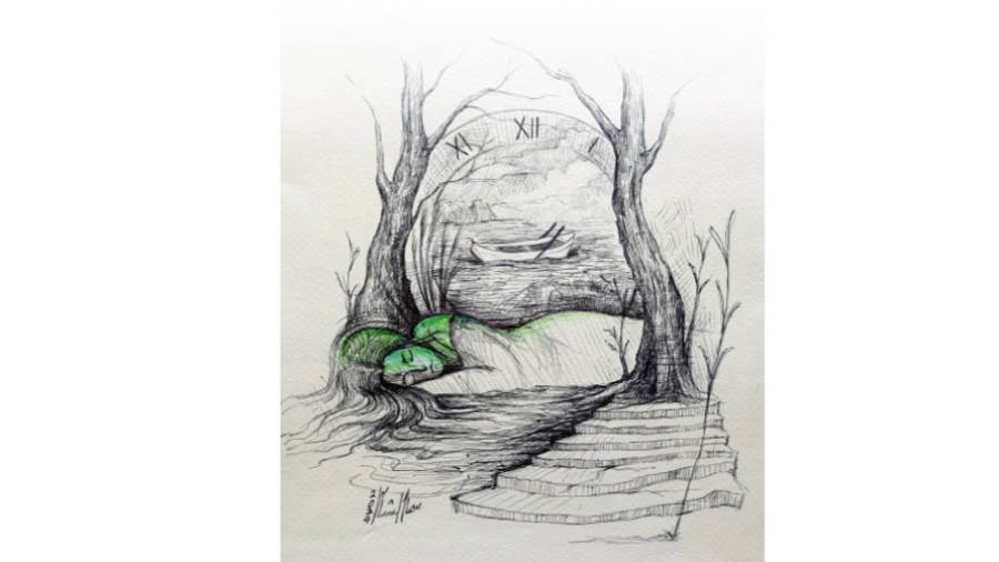 ريشة: سماح الشامى