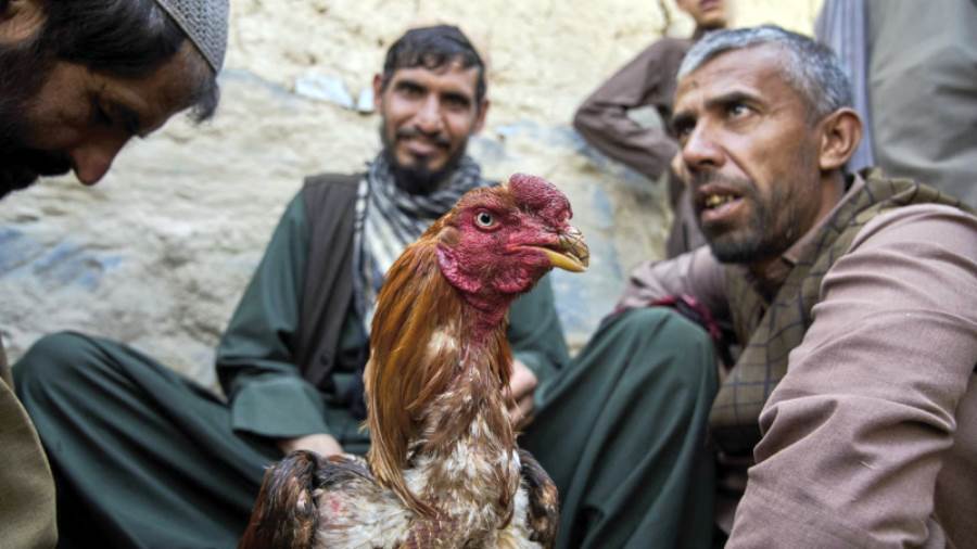 ما زالت المباريات تقام سرا رغم الحظر