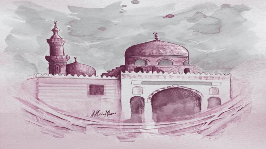 ريشة: سماح الشامى