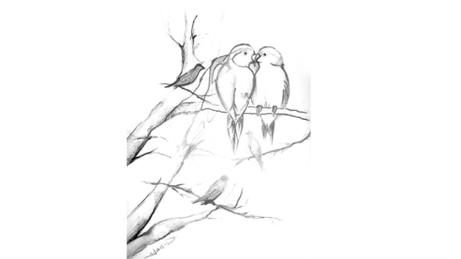 ريشة: هبة المعداوى