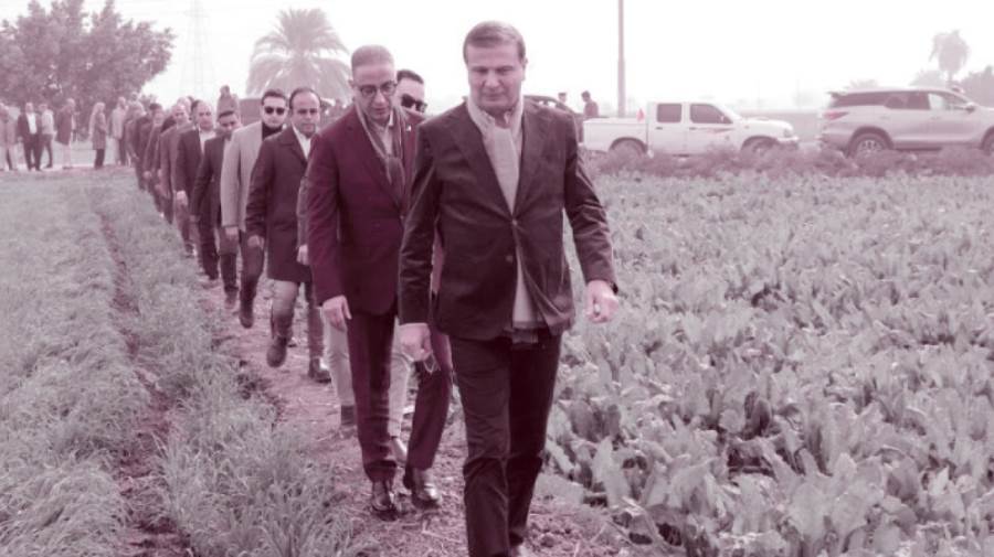 قيادات الزراعة والمحافظة فى جولة تفقدية لحقول بالفيوم