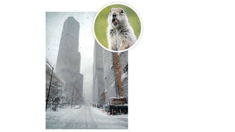 موجات برد قارس