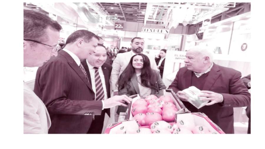 تواجد مصرى لافت فى معرض برلين