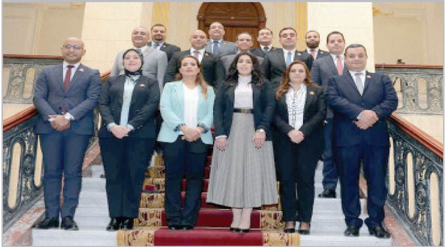 نواب التنسيقية بالشيوخ