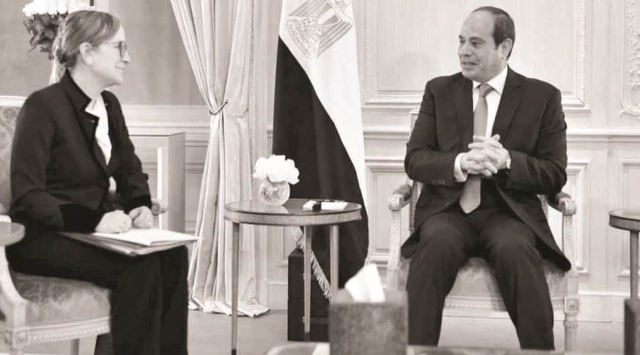 دعم مصرى لتشكيل الحكومة التونسية الجديدة