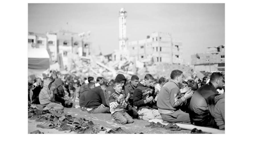 رغم التدمير.. الفلسطينيون متمسكون بأرضهم