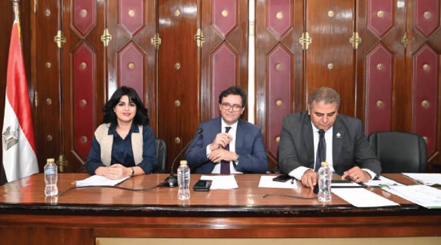 هنو فى لجنة الإعلام والثقافة
