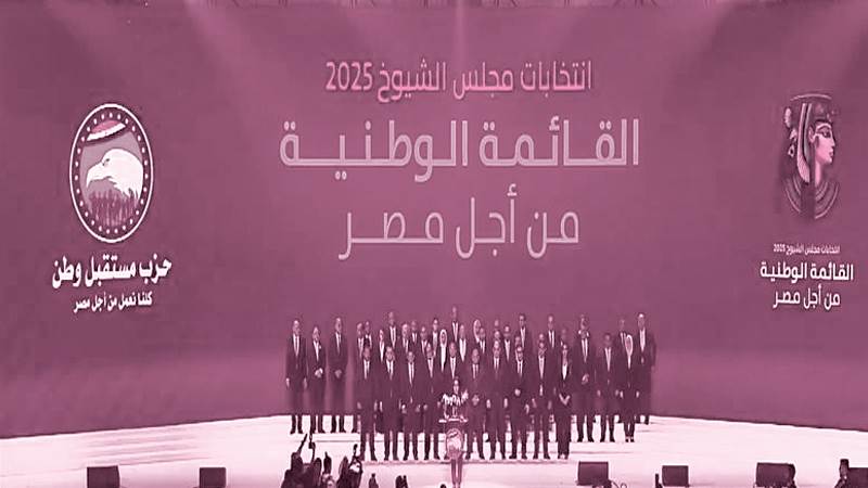القائمة الوطنية نجحت فى الشيوخ وتنتظر  النواب