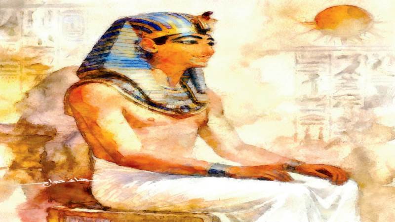 ريشة: هانى حجاج