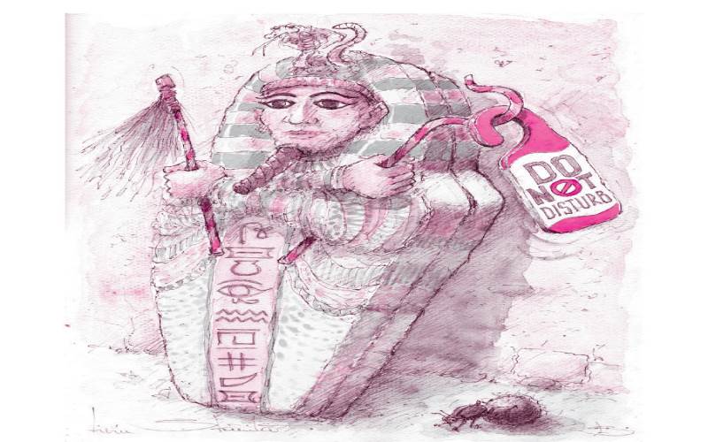 إيفيو ستانيلا - رومانيا