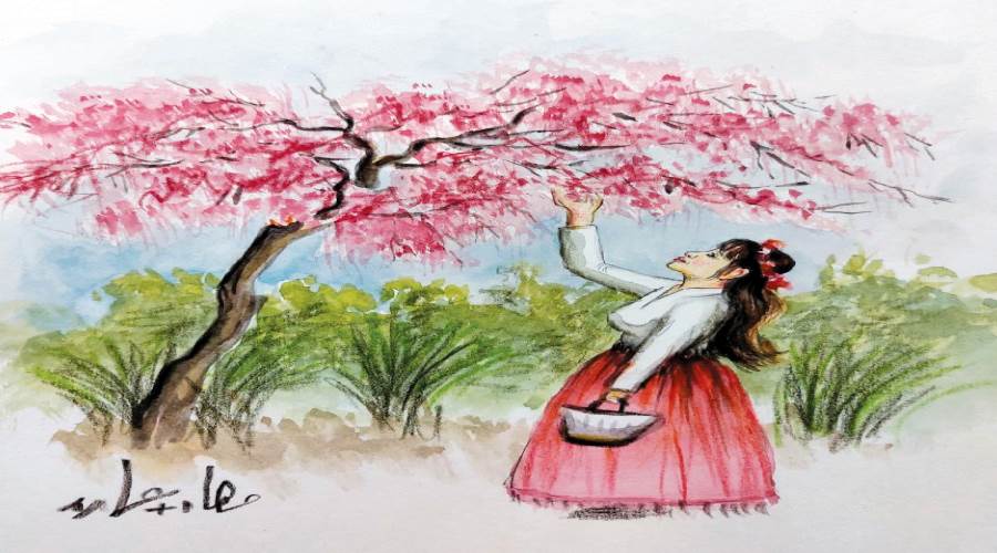 بريشة: مها أبوعمارة