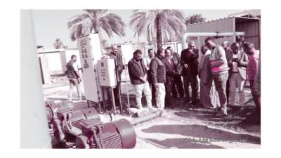  ثمار الإنجازات 