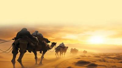 «إنى قد رزقت حبها»