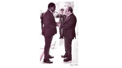 تكامل وتضامن إفريقى