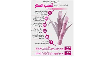 استعدادات موسم قصب السكر