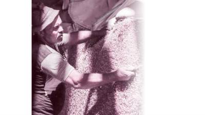 ذهب لا يصدأ